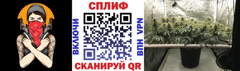  Кокаин Сенгилей
