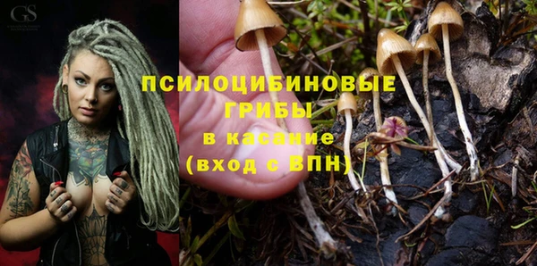 дурь Алексин
