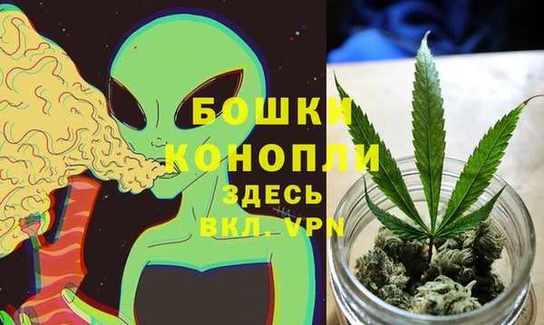 дживик Алексеевка