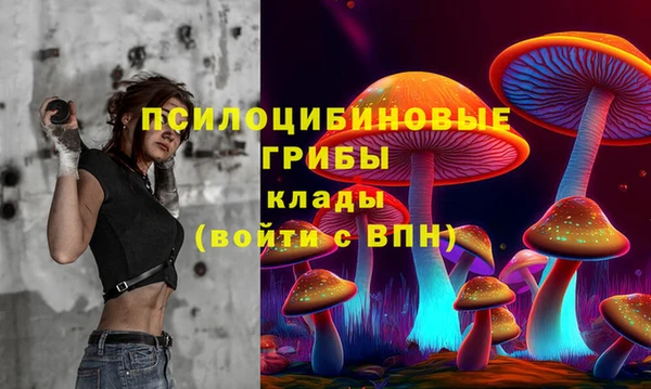 дживик Алексеевка
