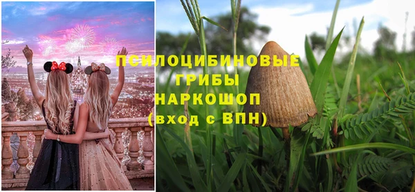 дживик Алексеевка